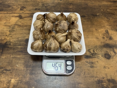 31 自然栽培　黒にんにく 人気　サイズいろいろたっぷり16個　令和4年度新物　食べやすくて美味しい