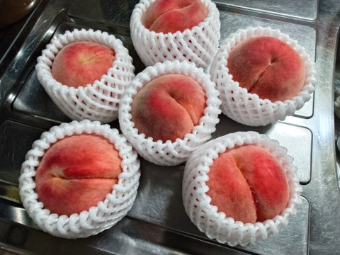 【8月下旬発送】桃好き必見！桃のリレーが楽しめる！季節の【桃】おうち用（もも）お試しセット 約2kg 約5~6玉