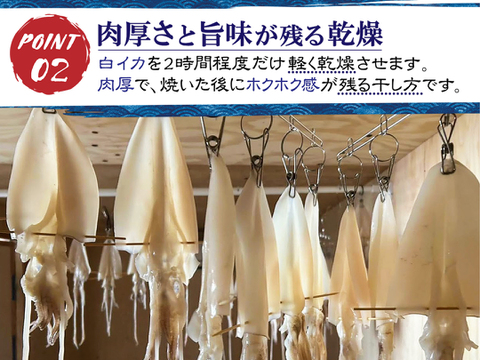 🦑白イカ(ケンサキイカ)の一夜干し3枚セット！島根県沖で獲れた新鮮なイカを港で開いて即干した逸品