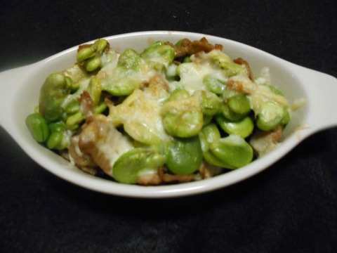 春の味覚たっぷり！指宿産そらまめ『いぶすき陵西』（ご家庭用・5kg）