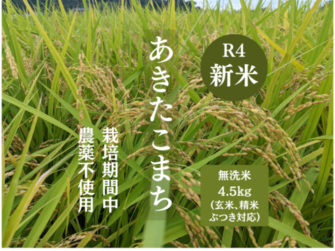 R4年産新米：あきたこまち無洗米4.5kg（農薬不使用のお米）