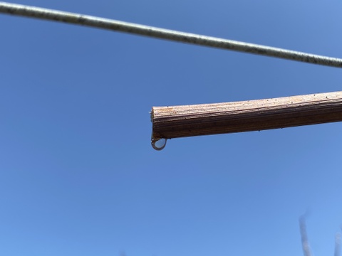 【冬ギフト】ありがとうメッセージと幻のぶどうアジロン100%! 甘やかな香り豊かな赤ワイン【花かげアジロン&メッセージカード】