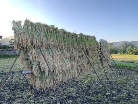 奥出雲産自然栽培五分づき餅(280g前後×4袋)