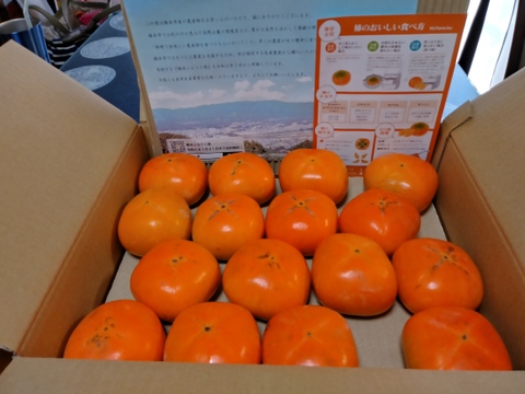 9月中旬から順次発送(自家用)和歌山県産たねなし柿2L3Lサイズ(14個～16個)