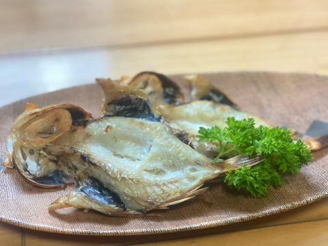 駿河湾の小さな夢カサゴ 約1kg（20尾前後）〜下処理済〜