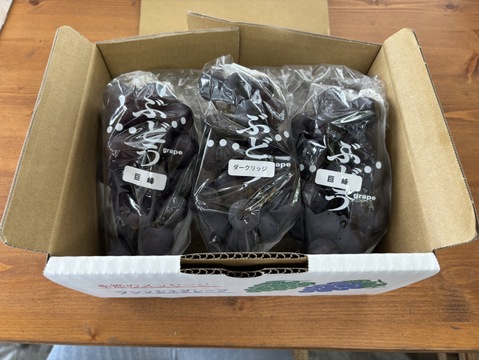 【数量限定】農薬・化学肥料不使用！樹上完熟ぶどうの詰め合わせ（家庭用・1㎏）