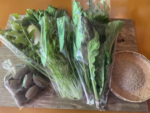 山のミネラルたっぷり！ソノちゃんのこだわり野菜とお米のセット5〜6品種