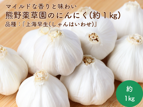 マイルドな香りと味わい♪三重県産にんにく『上海早生(しゃんはいわせ)』(S～Mサイズ・約１㎏)