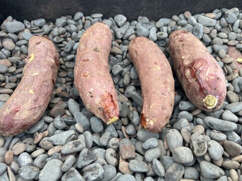 【無添加・ねっとり甘い】冷凍焼き芋｜☆有機JAS認証☆