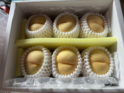 【2025年追加】ご自宅用・清水白桃★～とろける果肉とたっぷり果汁の白桃～（2㎏箱）