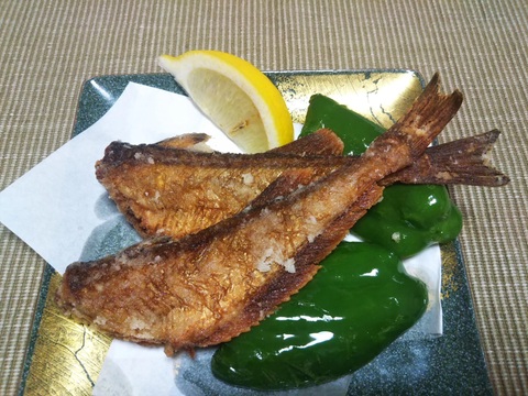 特大ハタハタメス１㎏&大オス１㎏