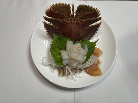 うちわえび 1kg