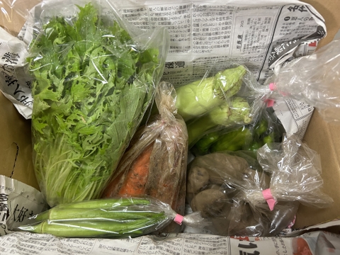 【おまかせ】オーガニック野菜セット(6品)