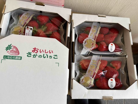 限定大特価セール！！40％OFF！！【いちご食べ比べ】佐賀県産いちご【ベリーホップすず】【よつぼし】230ｇ各２パック計４Ｐ入り黒トレー入り