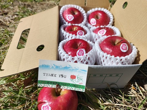 【春ギフト・1kg】ピンクレディー®｜ありがとうを贈る小さなりんご箱｜メッセージカード付