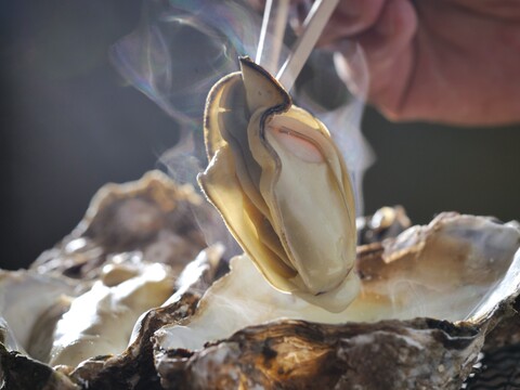 【生食用】殻付かきハーフシェルオイスター　12個入　殻を半分開けてお届け！　広島の海から直送♪　鮮度抜群！安心安全なこだわりの殻付かき