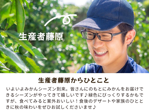 YN26（みかん）家庭用5kg｜和歌山で生まれた温州みかんの有望品種を産地直送でお届け
