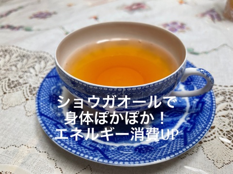 京都生姜ほうじ茶　ホットでもアイスでも美味しい　3g×20包