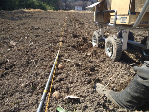 長野県産　農薬不使用　ジャガイモ　きたあかり（7ｋｇ）