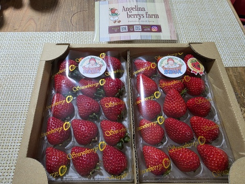 🎉第４回全国いちご選手権入賞🎉 プレミアムいちご 『べにたま』or『かおりん』のどちらかと『あまりん』の食べ比べセット 6粒、8粒、9粒、11粒、15粒のいずれか 250g×2パック入り