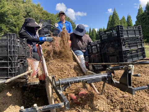 【ねっとり濃厚な甘さ＆なめらかで上品な甘さ】さつまいも詰め合わせセット3㎏