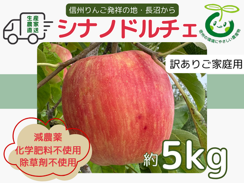 生産農家直送 りんご シナノドルチェ 訳あり家庭用 5kg 長野県産 信州りんご発祥の地 長沼りんご 産地直送 除草剤不使用 人にやさしく環境にもやさしい