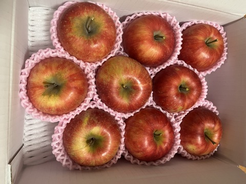 まるせい果樹園のりんご　おまかせ　　3kg自家用　贈答用　(6～15玉入り)　玉数指定不可　or1