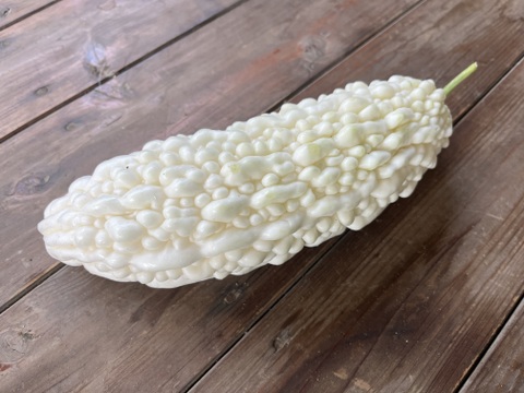 ちょっとめずらしい夏野菜セットS 【5-6種】　農薬不使用栽培