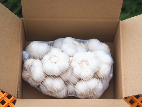 素揚げが大好評！田子町産にんにく30玉【7月中旬以降お届け】