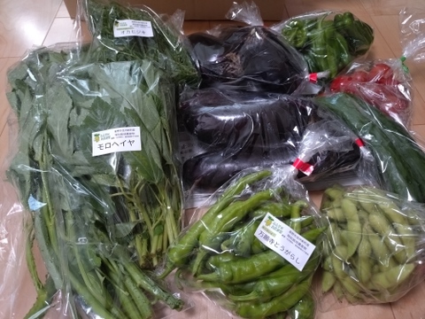 信州冬野菜セット【10品目】