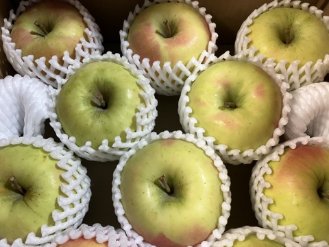 【販売開始！贈答用】 青森県産りんご「ぐんま名月」 約5kg×2箱【光センサー選果】【冬ギフト】