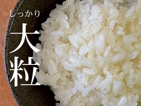 【令和6年新米】大粒で冷めても美味しい！ 特別栽培米ひゃくまん穀（白米）9kg 　石川県産