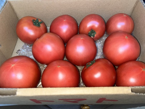 ジューシー完熟取りたて信州トマト（約2kg）