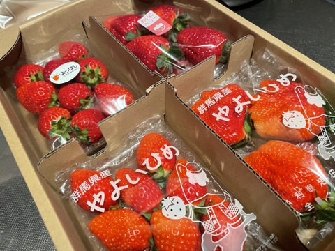 【おまかせ食べ比べ】いちご たっぷり1kg！やよいひめ•よつぼし•おいCベリーから、採れたての新鮮ないちごを2、3品種、サイズおまかせでお届け！甘さ、味の違いを楽しんで！