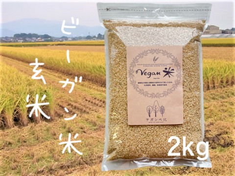 植物性で育てたビーガン米 2㎏ 玄米【化学肥料、農薬、除草剤不使用】　送料相当分値引き中