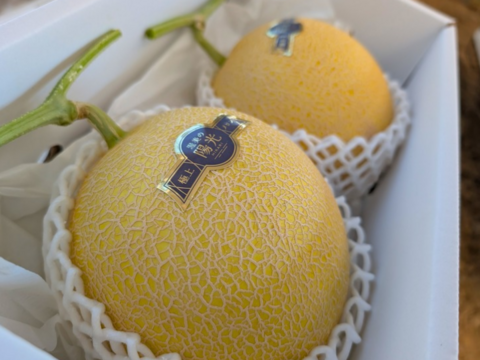 \\先行予約受付//【最高金賞 受賞】極上メロン 渥美の陽光-HIKARI-(２玉入)