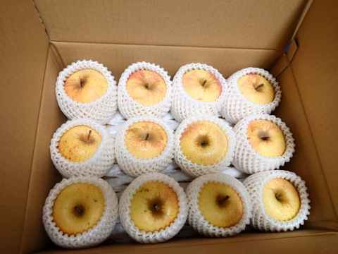 🍏青森りんご🍏パリパリで甘い希少品種りんご『はるか』【家庭用】９個から１１個入り