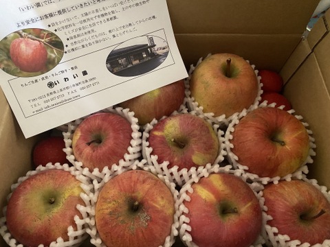 豊作還元セール！！家庭用サンふじ　約3kg