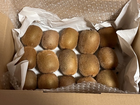 国東半島の地下水で育った栄養満点のキウイを直接お届け！『国東産キウイ』2.5kg　ヘイワード（16〜30個）