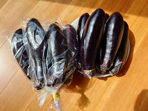 中長ナス【筑陽】2.5kg/箱（13本～17本）