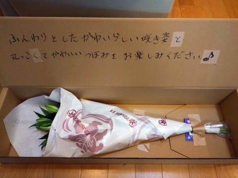 ■簡易包装■【シャルドネ】3本束❤︎純白❤︎久々の登場！まだまだNew face(^^)