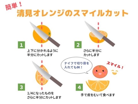【小玉】まる美の果汁たっぷり完熟清見オレンジ（5kg）