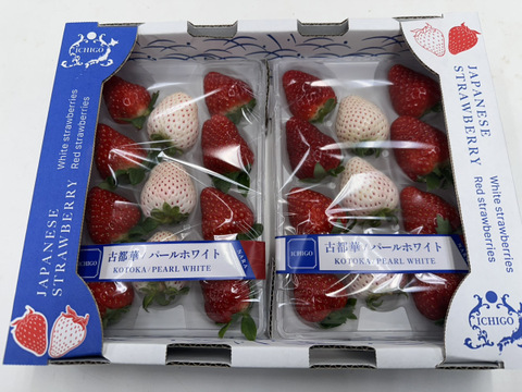 奈良発☆赤イチゴと白イチゴ(パールホワイト・ゆきぼたん)の華やか2色ミックス