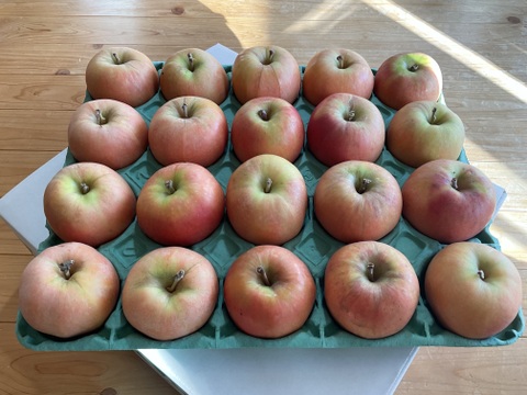 ムーンルージュ  ５キロ箱