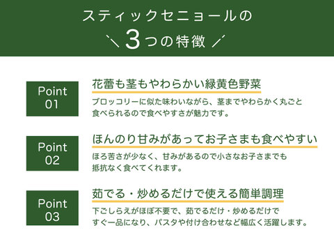 【手ごろな量を朝採れで！】スティックセニョール　1200g　常温便