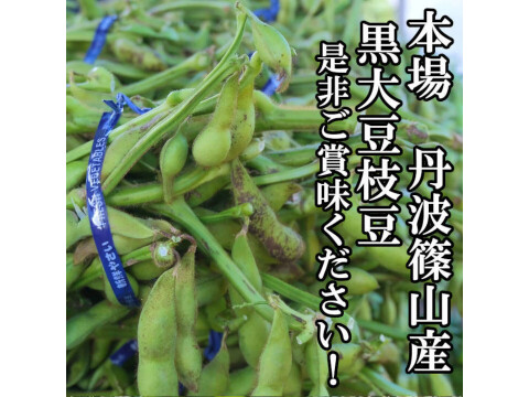 【数量限定】丹波篠山 黒枝豆 枝付き2㎏ 丹波篠山産 丹波 枝豆 もっちり 黒大豆 大粒 波部黒 丹波黒 高級 2kg 黒大豆枝豆 枝付き 贈答品 束 丹波篠山黒枝豆 枝豆 丹波 黒豆