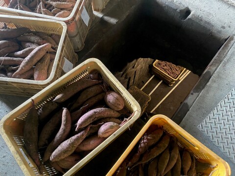 超熟成！農薬・化学肥料不使用！ムロ出し紅はるか５kg！