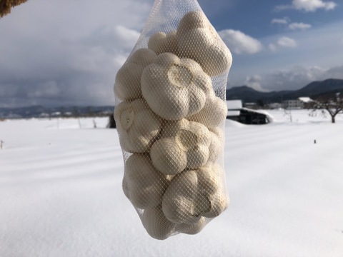 【300円OFFクーポン】令和４年産 ３キロ 青森県産にんにく 最高級品種 ホワイト６片 家庭用玉