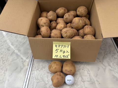 きたあかり5キロ