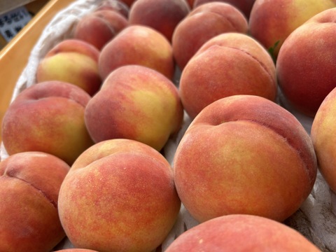 まるせい果樹園の桃　『黄金桃』2㎏(6玉~11玉入り)　自家用　ご贈答用向け mo2